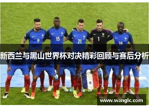 新西兰与黑山世界杯对决精彩回顾与赛后分析